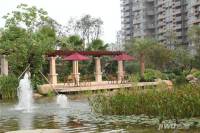 孔目江1号实景图43