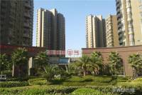 孔目江1号实景图43